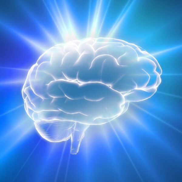 Heart intelligence 29