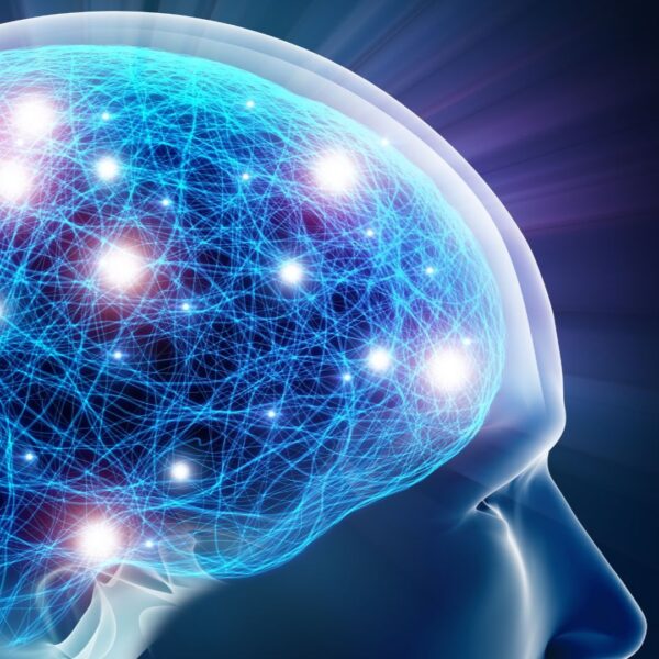 Heart intelligence 30